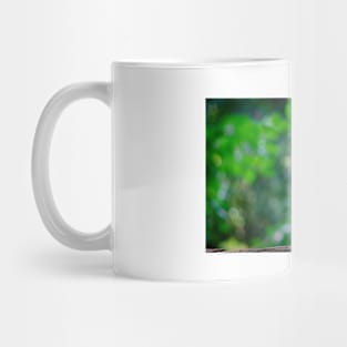 Lesser Panda Mug